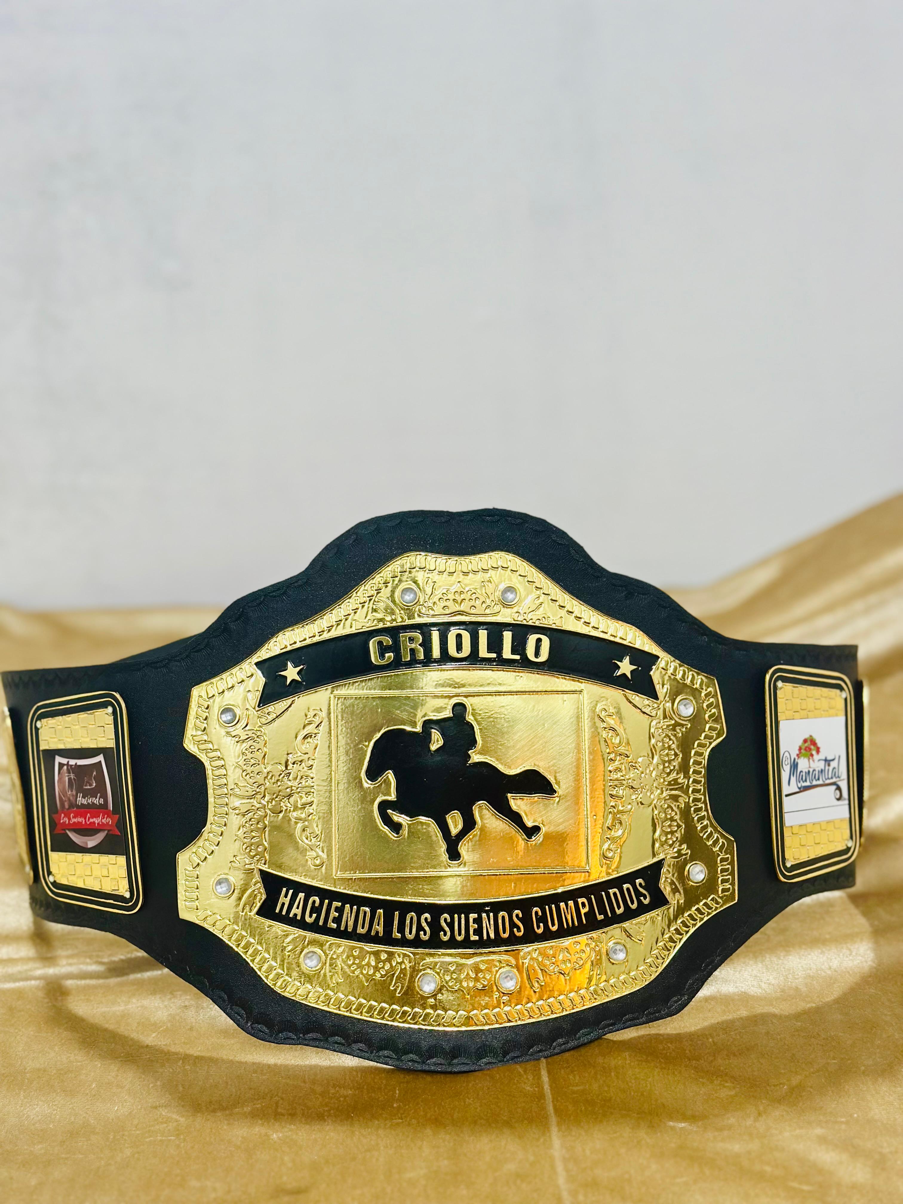 Custom WWE Style Belt with Personalized Name Plate
