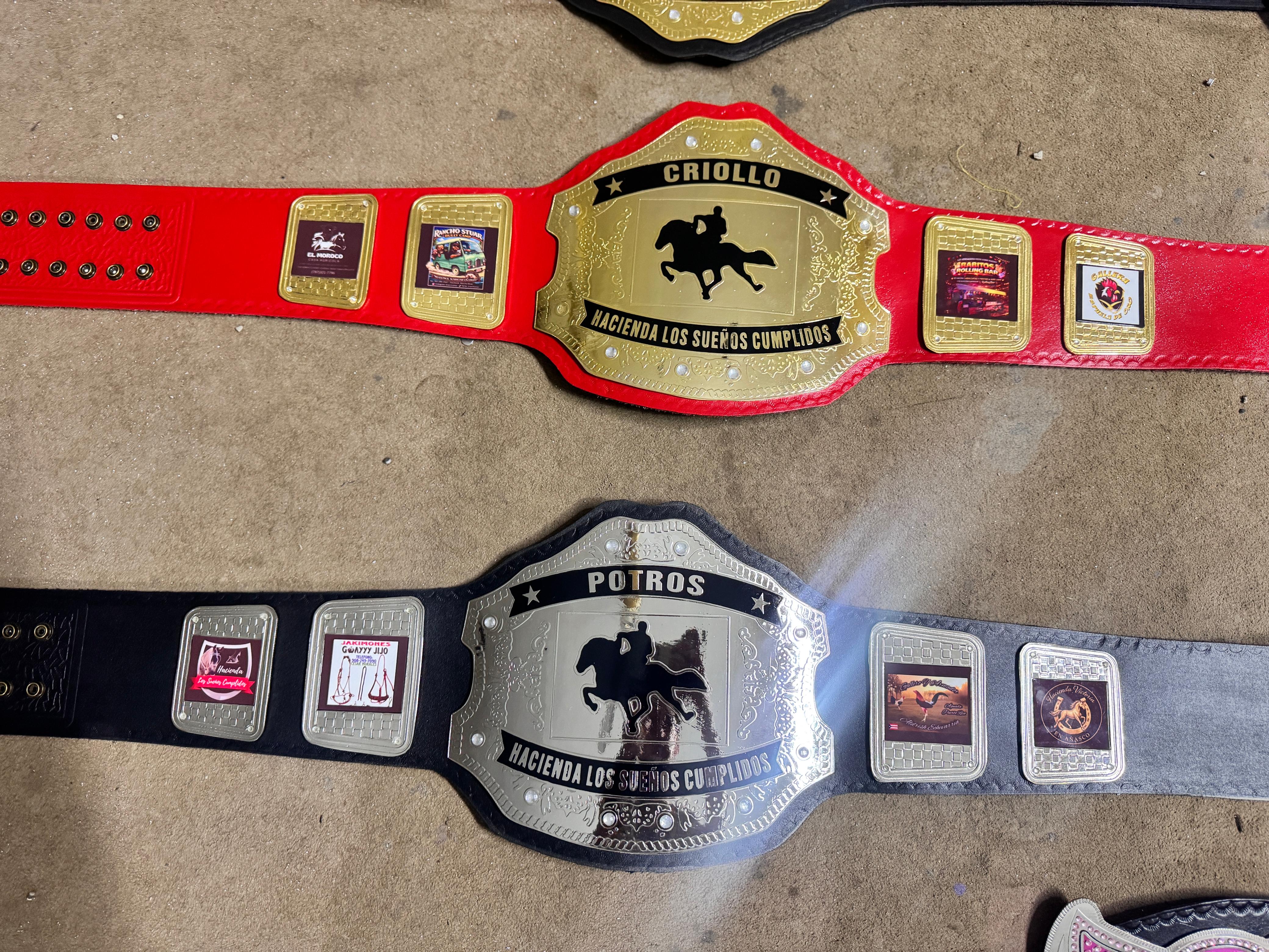 Custom WWE Style Belt with Personalized Name Plate