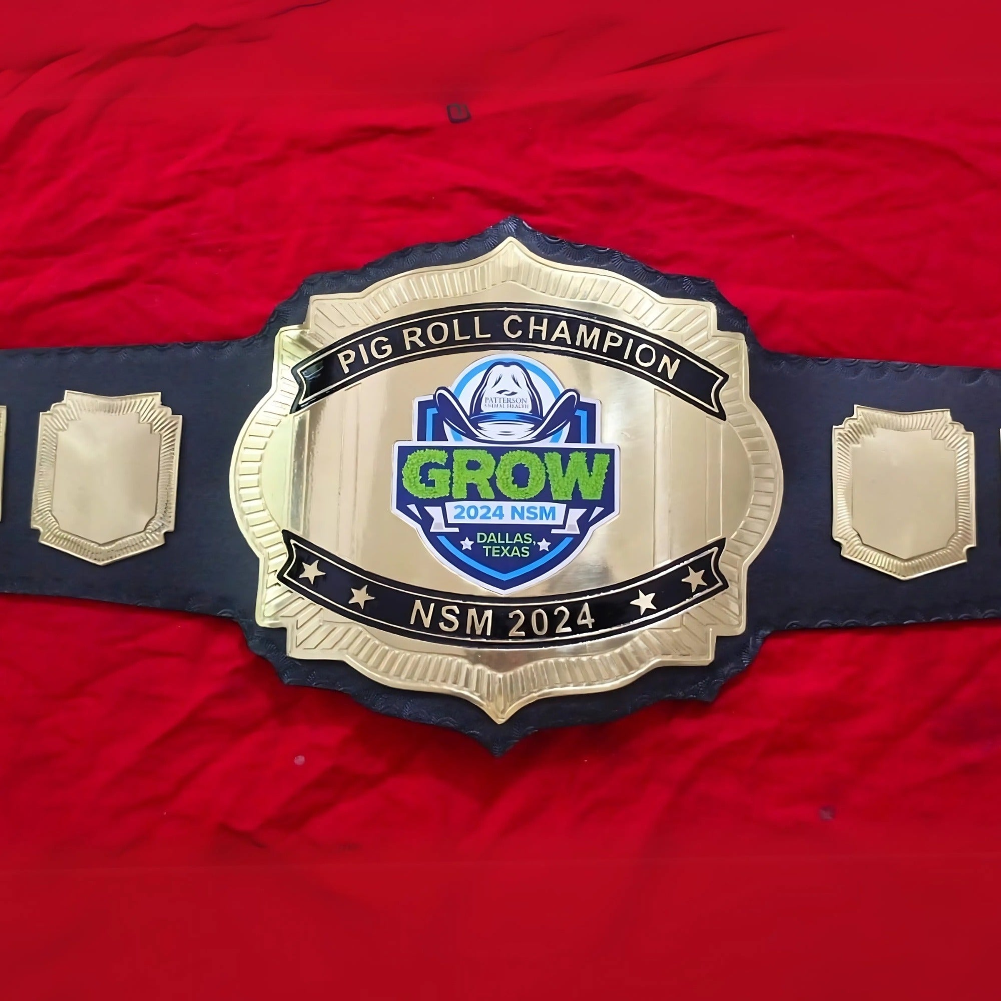 Customized Championship Belt with Custom Name Plate