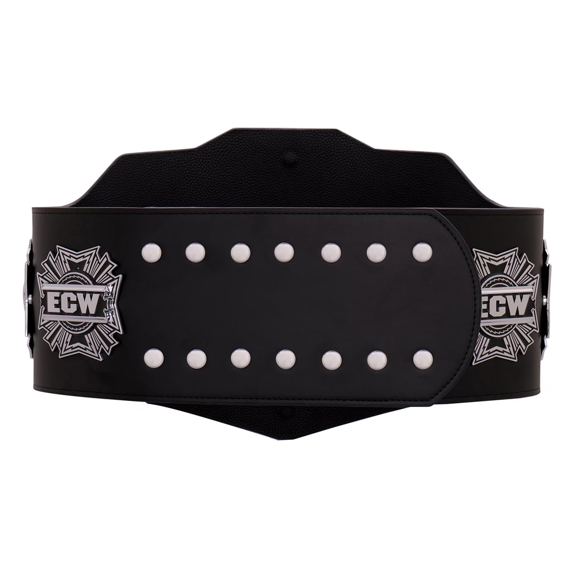 WWE ECW Championship 2008 Replica Title Belt