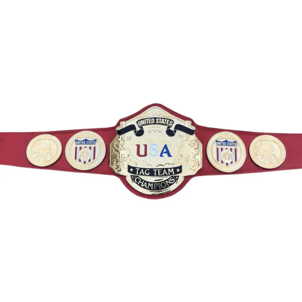 NWA World Title NWA United States Tag Team Championship Belt
