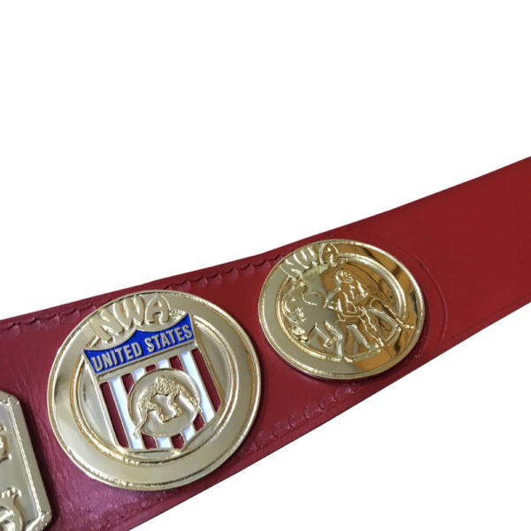 NWA World Title NWA United States Tag Team Championship Belt
