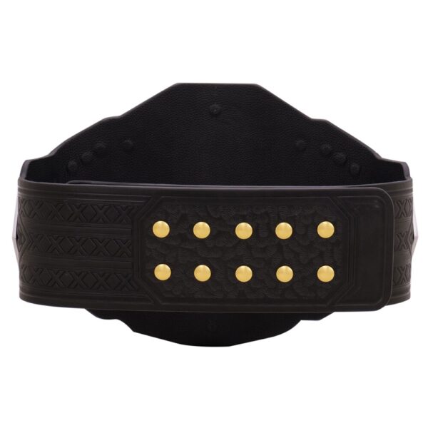 WWE NXT Championship 2024 Replica Title Belt
