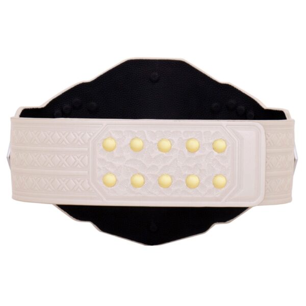 WWE NXT Women's Championship 2024 Replica Title Belt