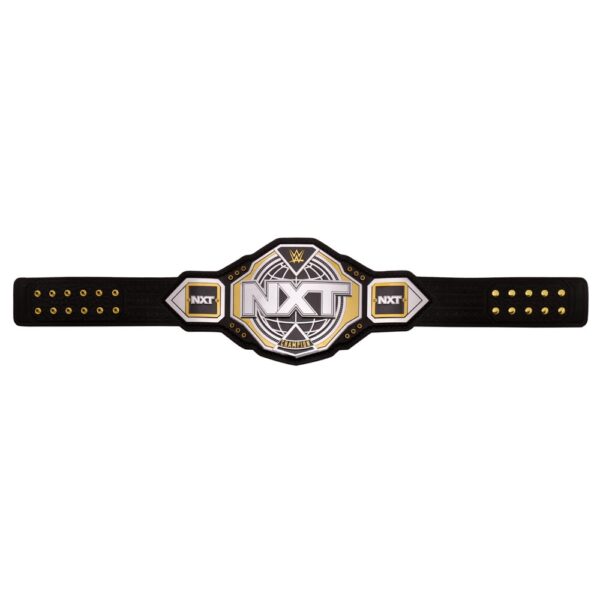WWE NXT Championship 2024 Replica Title Belt