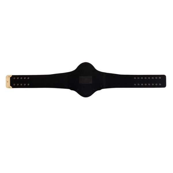 WWE Championship 1986 Retro Replica Title Belt