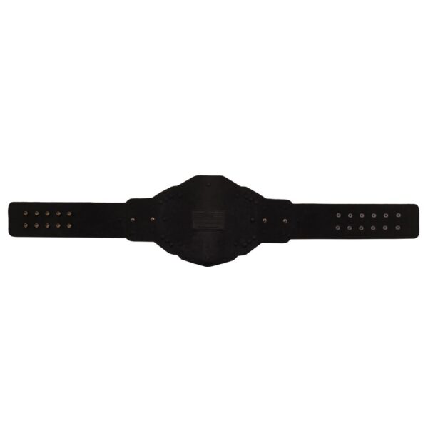 WWE NXT Championship 2024 Replica Title Belt