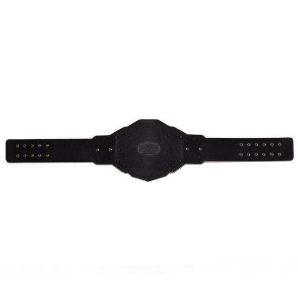 WWE NXT Women's Championship 2024 Replica Title Belt