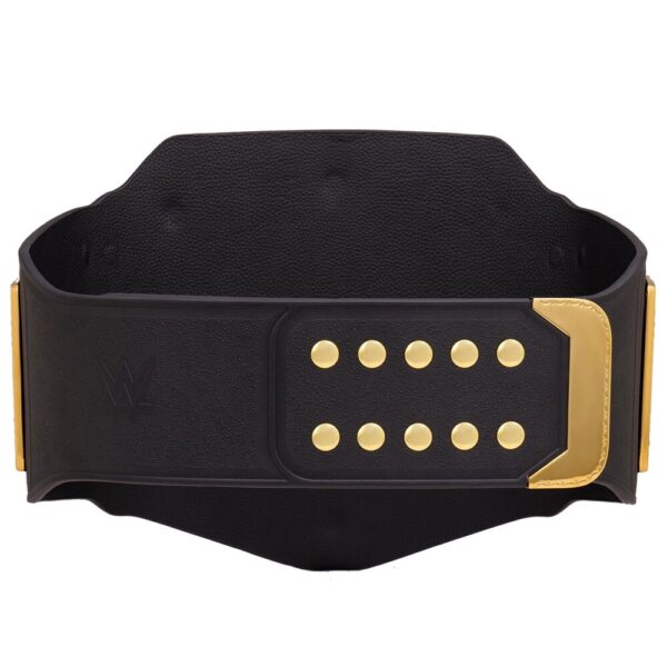 WWE World Heavyweight Championship Replica Title Belt