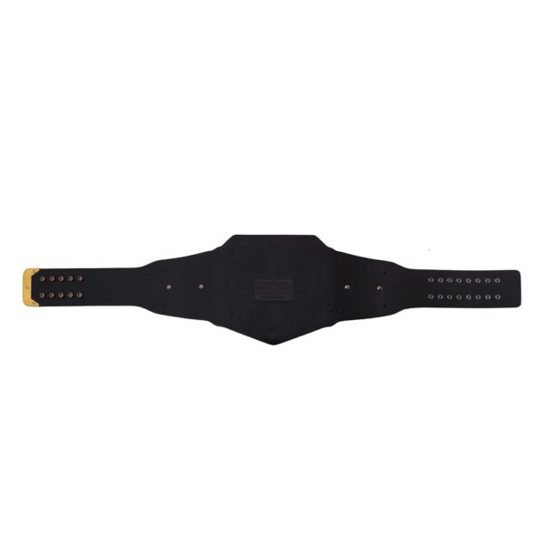 WWE World Heavyweight Championship Replica Title Belt
