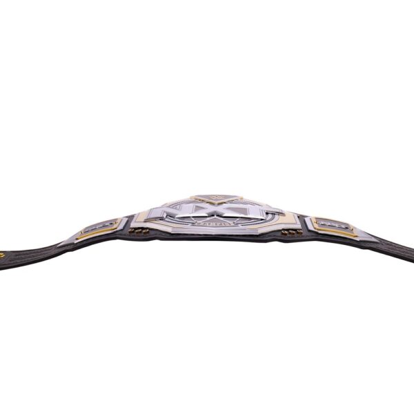 WWE NXT Championship 2024 Replica Title Belt