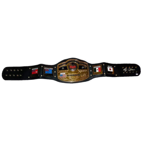 Championship Belt NWA
